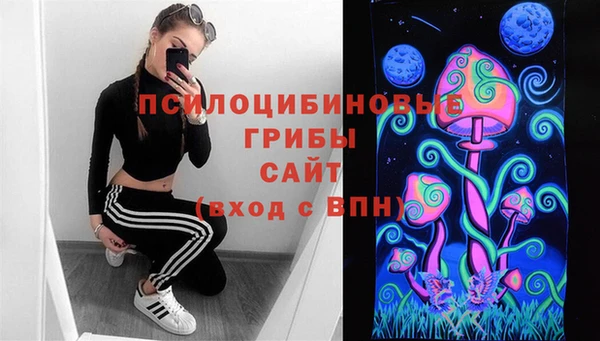 spice Арсеньев